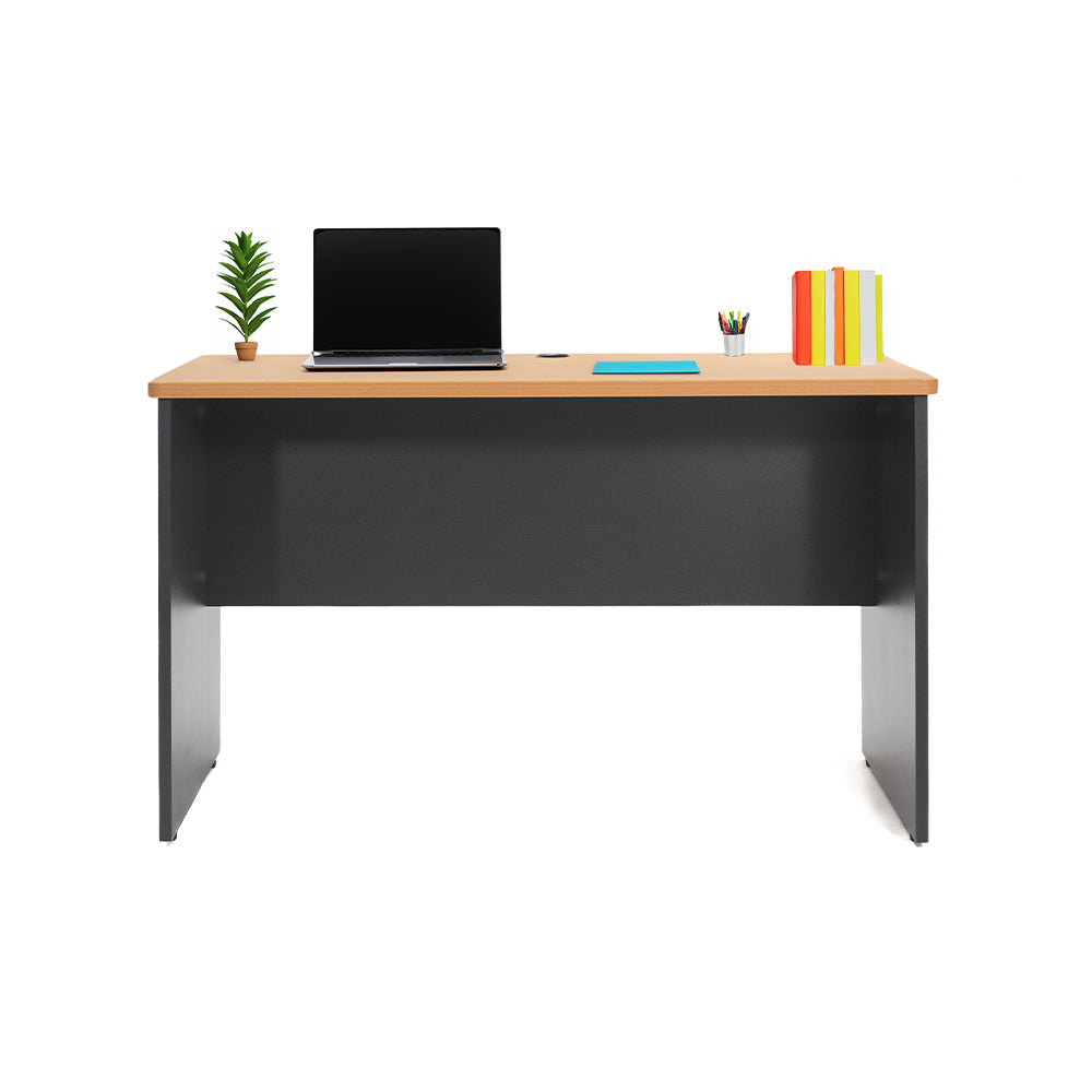 Escritorio de Trabajo 1200