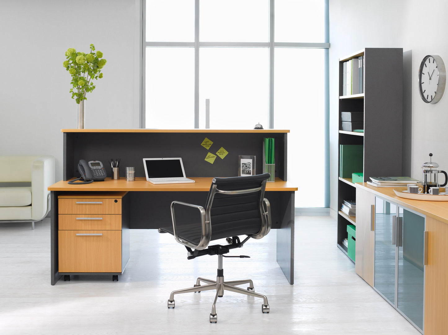 Paquete: Recepción – Pro