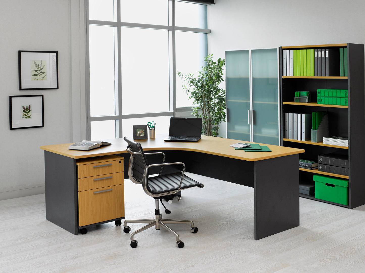 Paquete: Oficina Directiva – Pro